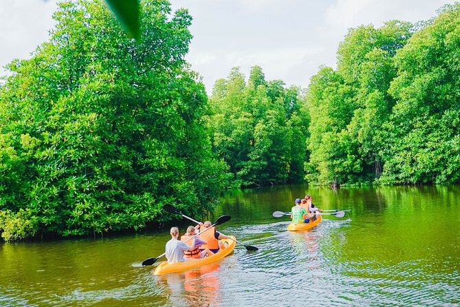 Kayaking Adventure on serene waters through mangroves, Akurala - Who this kayaking trip suits best