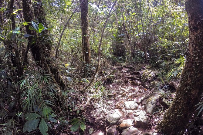 Knuckles Leopard trail Trek from Kandy - The Rocky Plateau and Peak Views: The Moments You Remember