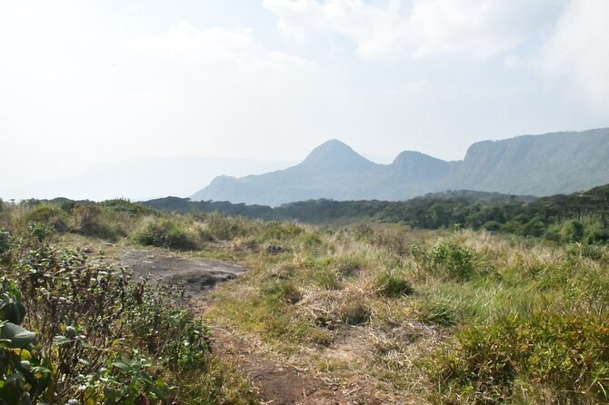 Knuckles Leopard trail Trek from Kandy - Guide Quality: Names You’ll Hear and the Kind of Help That Matters