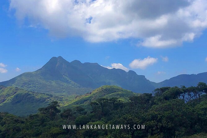Knuckles Mountain Hiking - Key highlights you’ll feel on the trail
