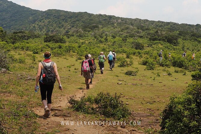 Knuckles Mountain Hiking - Timing, pickup, and how to plan your day around the hike