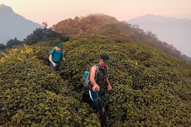 Knuckles Mountain Range Hiking and Trekking Day Tour From Kandy Hotels - Key highlights to know before you go