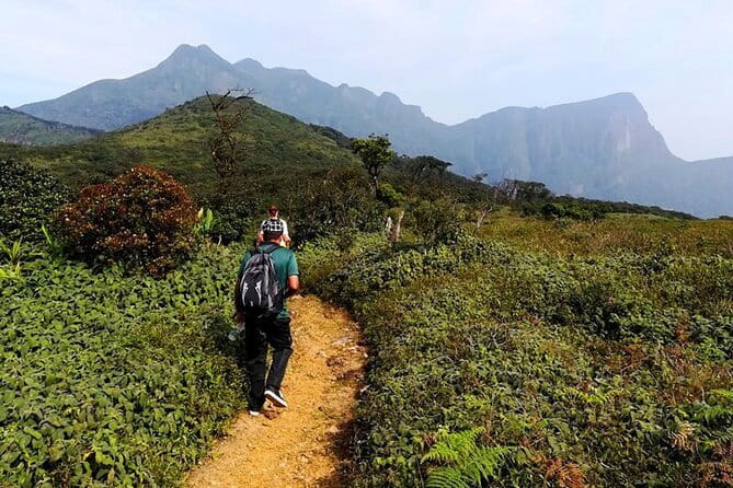 Knuckles Mountain Range Hiking and Trekking Day Tour From Kandy Hotels - Price and value: what $75 really covers