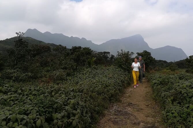 Knuckles Mountain Range Hiking and Trekking Day Tour From Kandy Hotels - Getting started: the early pickup that makes or breaks the day