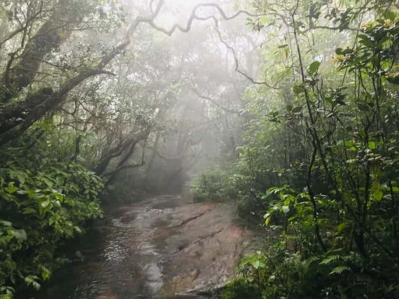 Knuckles Mountain Range: Kotaganga Waterfall Chain Hike - Price and value: is $80 worth a full day like this?