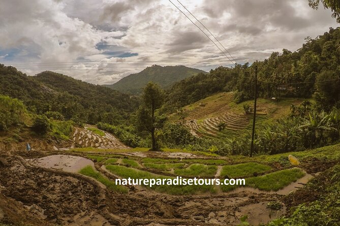 Knuckles Spice Trail Trek from Kandy - Key Things You Will Love