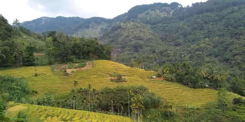 Knuckles Spice Trail Trek from Kandy - Price and value: is $101 per person worth it?