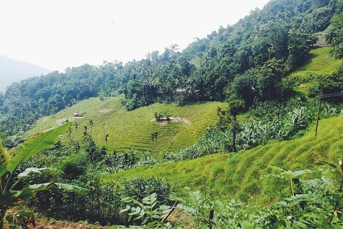 Knuckles Spice Trail Trek from Kandy - Terrace Rice Fields to a Traditional Village: Gardens, Village Culture, and Views