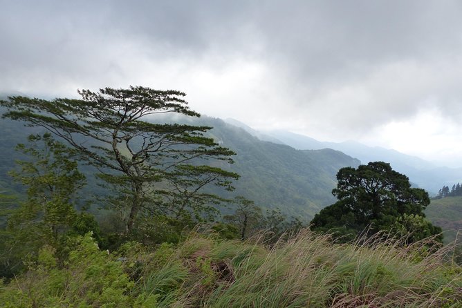 Knuckles Spice Trail Trek from Kandy - Lunch on the Trail: Picnic Food, Drinks, and the Village Lunch Question