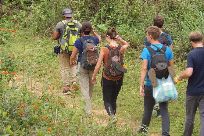 Knuckles Spice Trail Trek from Kandy - Price and Value: Is $85 Good for This Half-Day Trek?