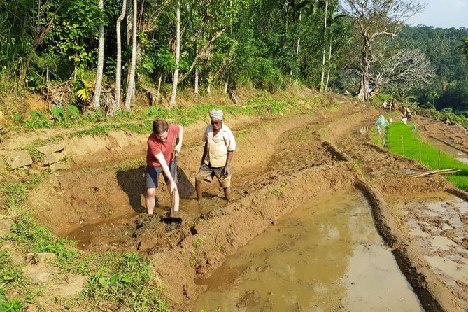 Knuckles Spice Trail Trek from Kandy - Who This Trek Is Best For, and Who Might Want Another Option