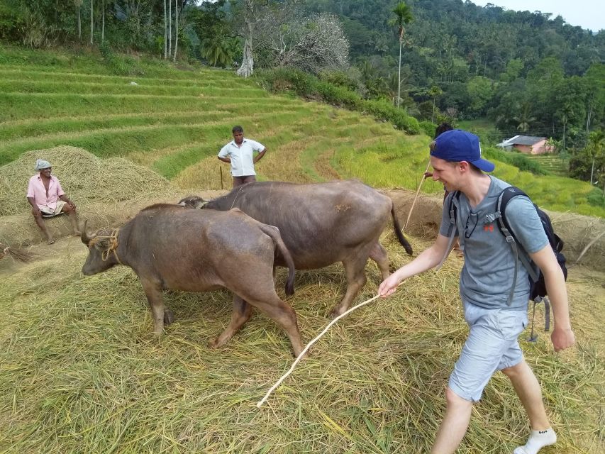 Knuckles Spice Trail Trek from Kandy - Lunch, snacks, and what makes the meal feel like part of the trek
