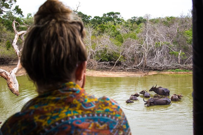 Kumana National Park Half Day Jeep Safari - The elephant and leopard question, and how to set expectations