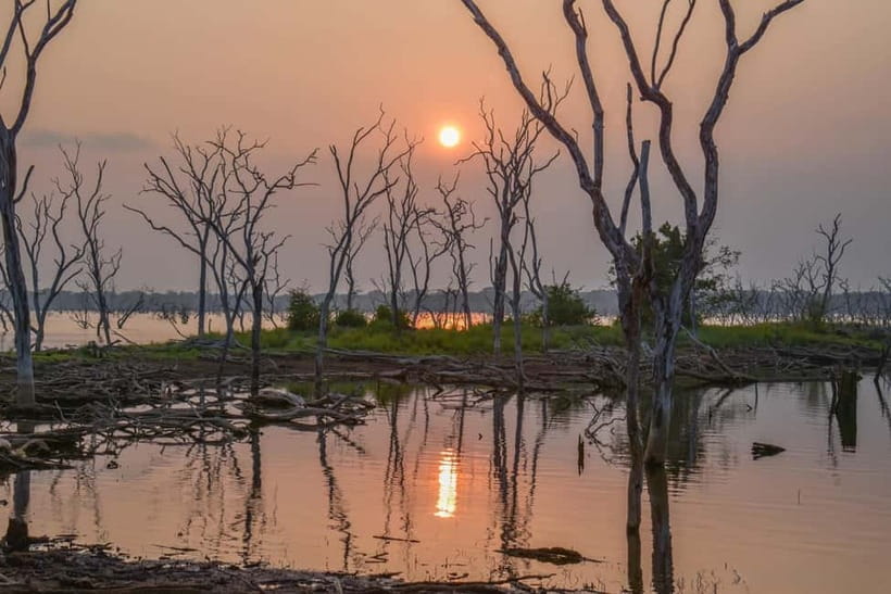 Kumana National Park Leopard Safari PRIVATE Tour - Price and value: what $85 covers and what you should add