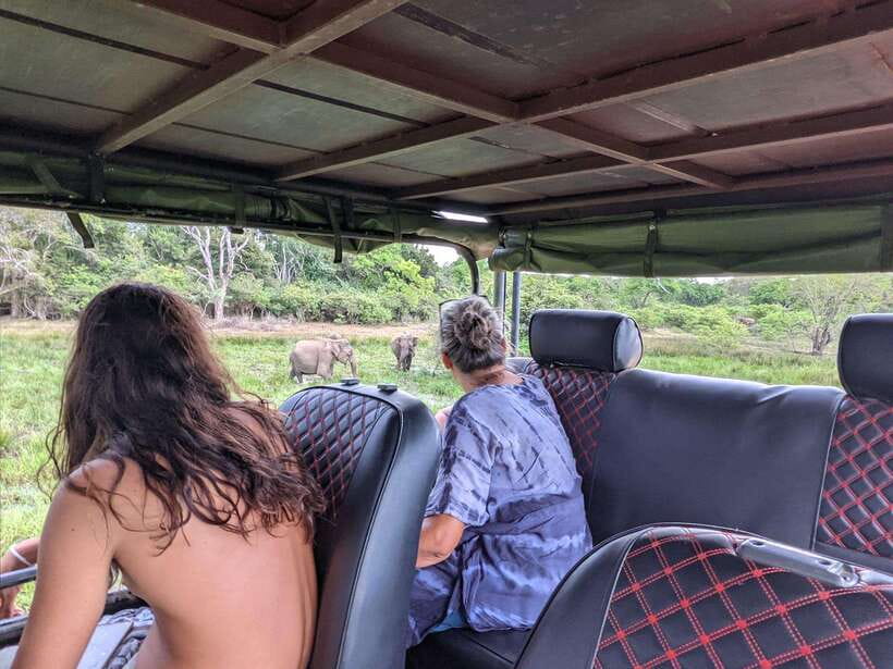 Kumana National Park : Morning or Afternoon Safari Tour - Entering the park: how the first hour sets the tone