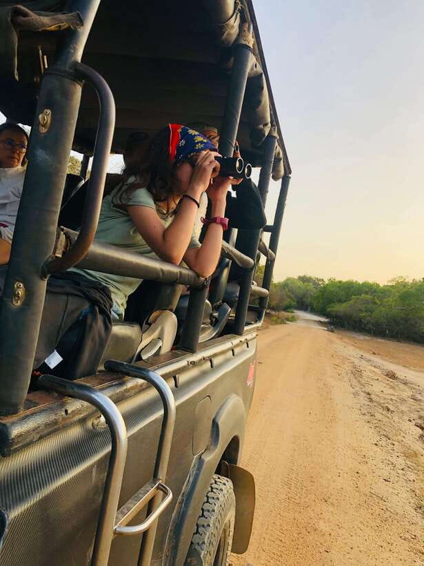 Kumana National Park : Private Half-Day Jeep Safari - The 4WD game drive: comfort, engine noise, and how to get better sightings