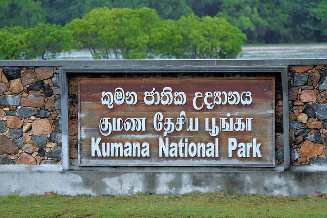 Kumana National Park Safari | from Arugam Bay - Kumana National Park Safari From Arugam Bay: Birds, Swamps, and a 6-Hour Rhythm