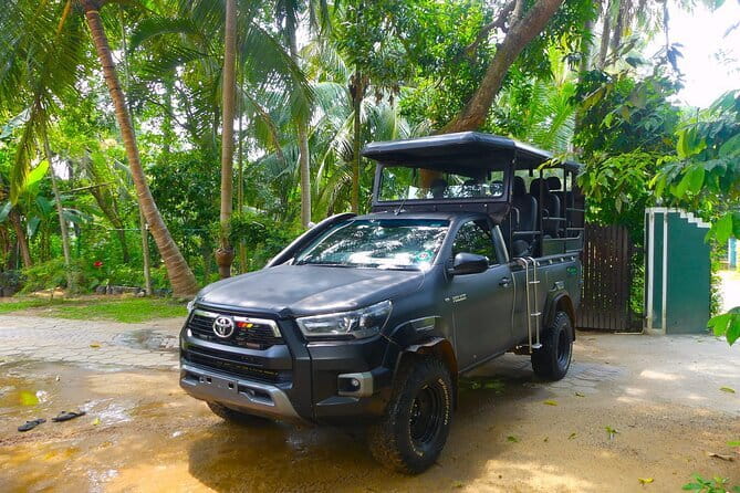 Leopard Half Day Yala National Park Eleven Safari - Weather, rain, and the leopard mood