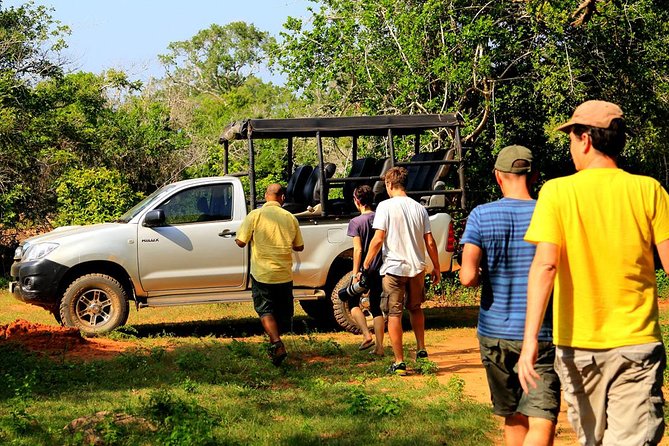 Leopard Safari Tour in Yala National Park - Drivers and Spotting Skills: Why the Guide Matters