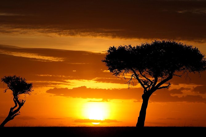 Leopard Safari Tour in Yala National Park - Food Add-Ons: Making a Long Day Work Better