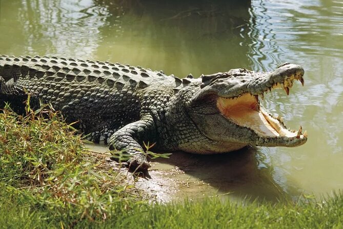 Lunugamwehera (Weheragala Entrance) National Park - Ajith Safari - Key things that make this safari worth your time