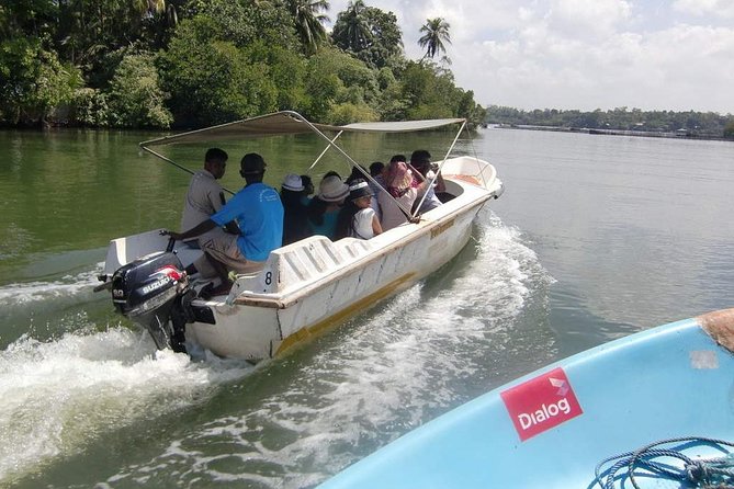 Madu River Boat Safari Balapitiya - Key Things I’d Put on Your Radar Before You Go