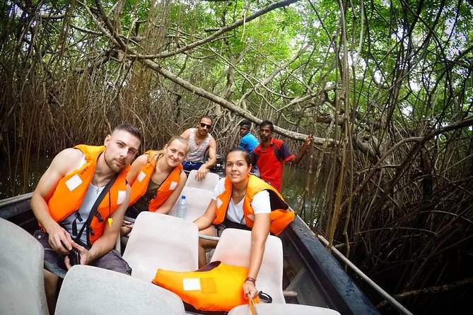 Madu River Boat Safari Balapitiya - The Madu River Safari, in Plain Terms