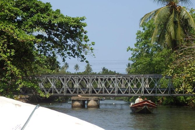 Madu River Boat Safari Balapitiya - Fish Foot Massage and Cinnamon Island Stops