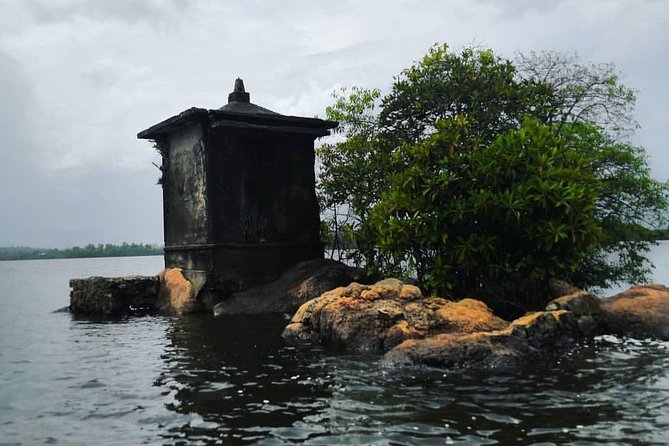 Madu River Boat Safari Balapitiya - Price and Value: Where Your $29 Actually Goes