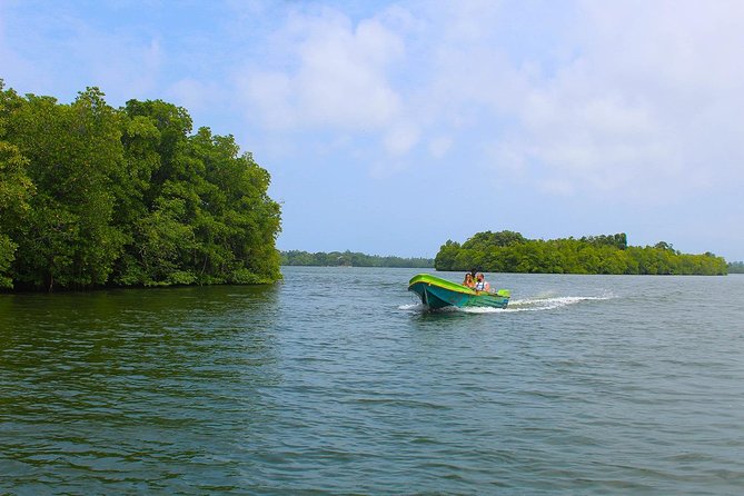 Madu River Boat Safari Balapitiya - Timing, Hours, and How to Plan Your Day on the Coast