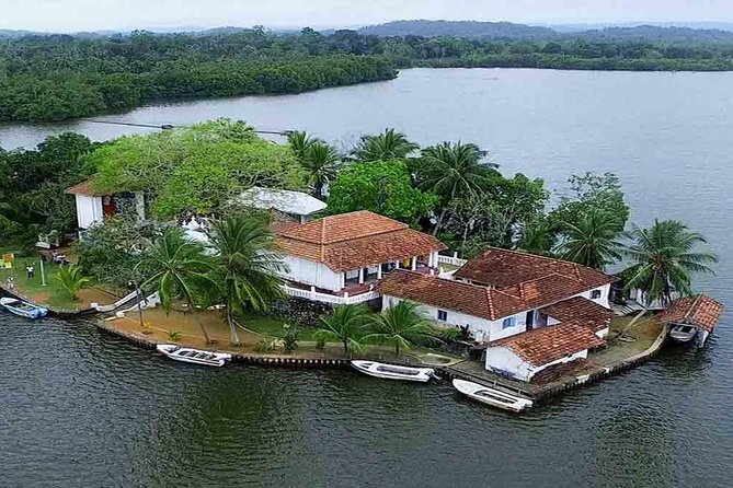 Madu River Boat Safari Balapitiya - Group Comfort and Service That Shows Up When It Counts