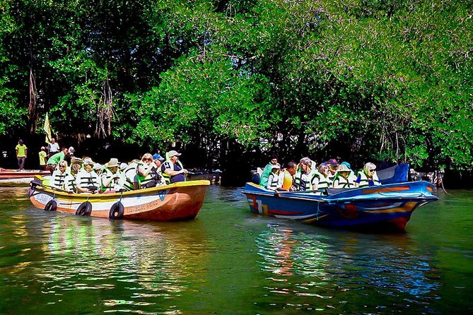 Madu River Boat Safari Balapitiya - What You Actually Do During the Approx 2-Hour Cruise