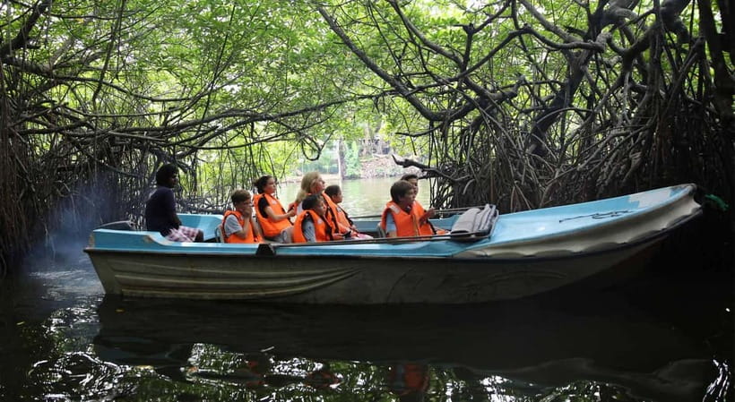 Madu River Boat Tour and Cinnamon Garden visit - Key highlights