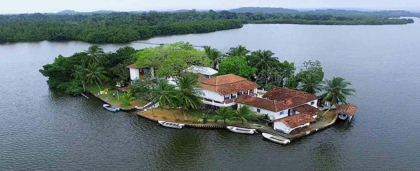 Madu River Boat Tour and Cinnamon Garden visit - Logistics that matter: where to meet and how to plan your day