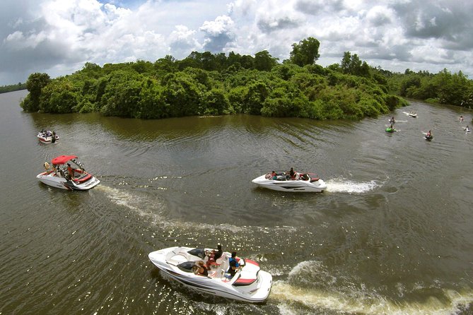 Madu River Safari at Balapitiya - Key highlights you will care about