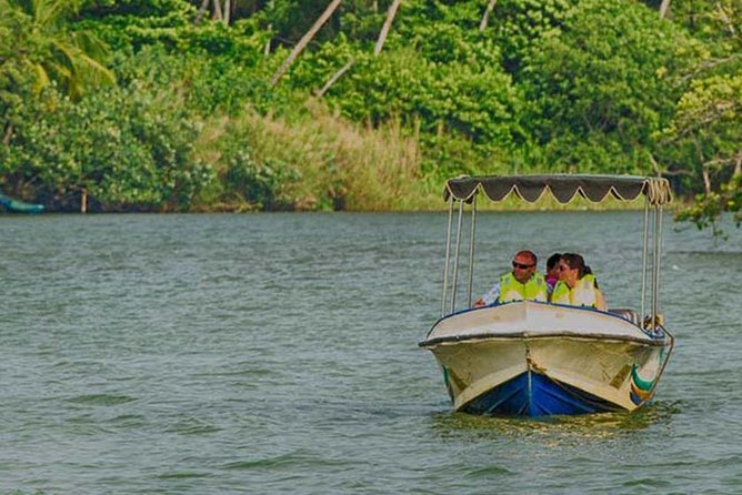Madu River Safari at Balapitiya - Madu Ganga boat safari through mangroves in Balapitiya