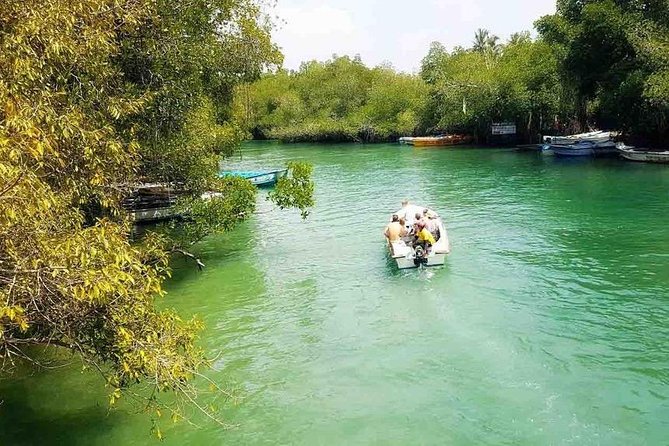 Madu River Safari at Balapitiya - Wildlife spotting tips that actually help