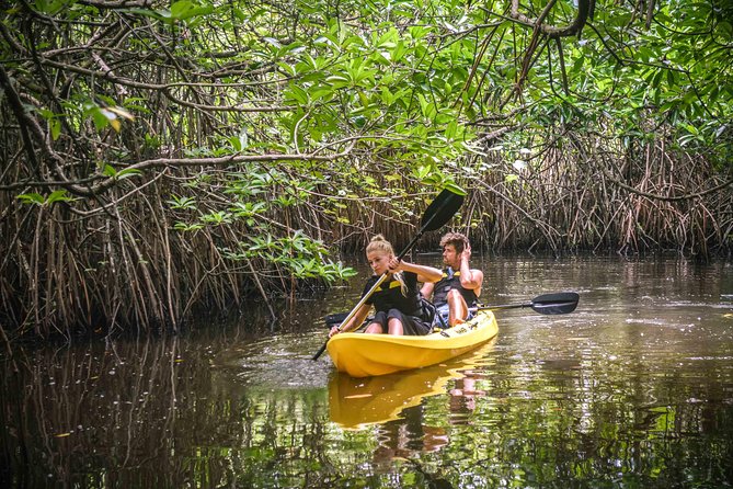 Madu River Sunrise Mangrove Kayaking - Price and Value, Plus Who This Is Best For