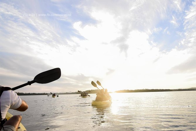 Madu River Sunrise Mangrove Kayaking from Bentota - Key highlights you’ll actually care about
