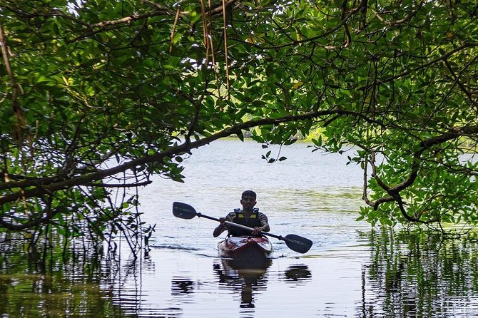 Madu River Sunrise Mangrove Kayaking from Bentota - Kayaks, safety gear, and the “backup plan” you hope you never use