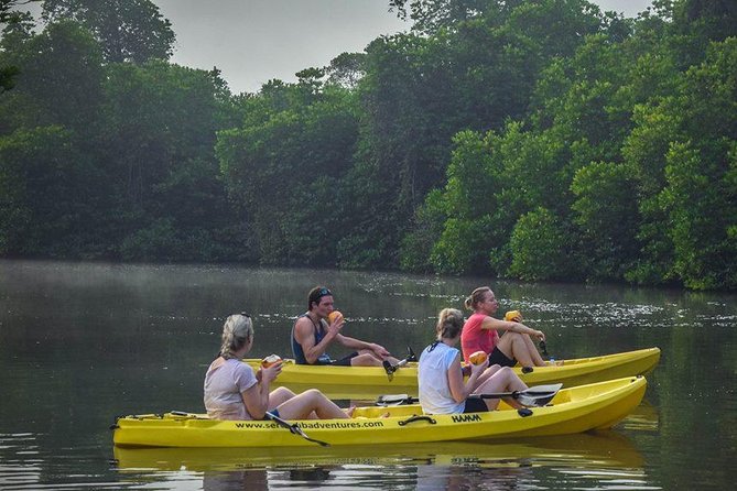 Madu River Sunrise Mangrove Kayaking from Bentota - On the water from 6:00 to 9:30: mangroves and slow exploration