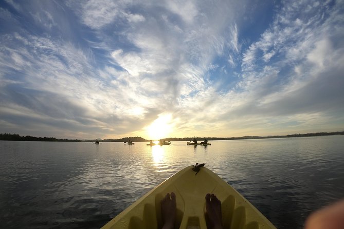 Madu River Sunrise Mangrove Kayaking from Bentota - Snacks, drinks, and what’s missing from the meal plan