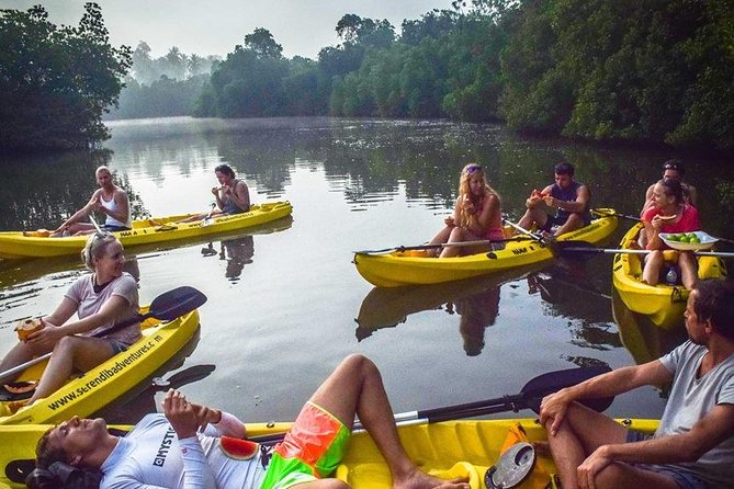 Madu River Sunrise Mangrove Kayaking from Bentota - Price and value: is $125 a fair deal?