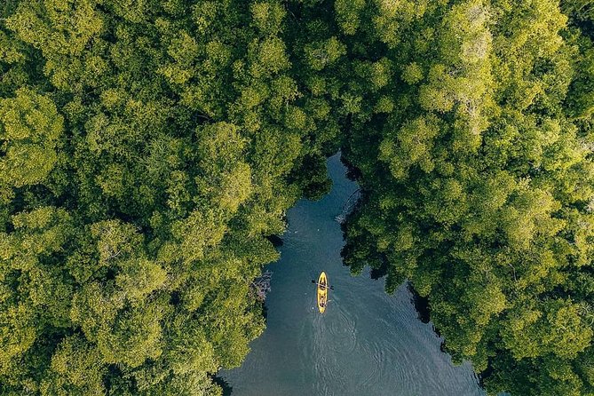 Madu River Sunrise Mangrove Kayaking - Mangroves, Wildlife, and the Ramsar Wetland You Paddle Through