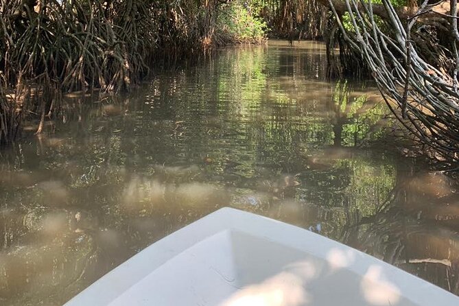Mangrove Adventure - Price and Value: Is $25 Worth It?