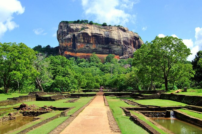 Minneriya Elephant Safari wth Sigiriya & Dambulla Cave Temples Full Day Tour - Why the early 7:00 am start matters for elephants