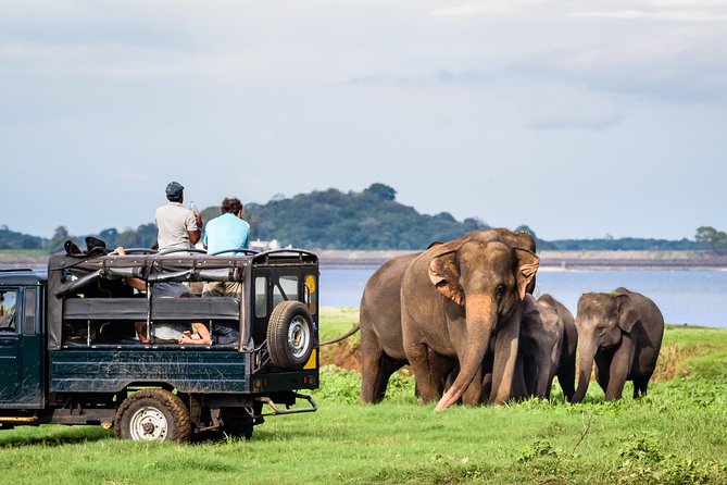 Minneriya Elephant Safari wth Sigiriya & Dambulla Cave Temples Full Day Tour - Sigiriya lion rock fortress: what this stop gets right