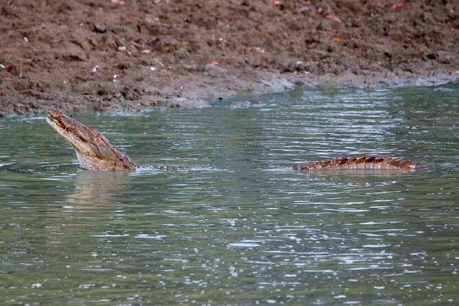 Minneriya Half Day Safari - Hurulu Eco Park: birds and reptiles, plus a different viewing vibe