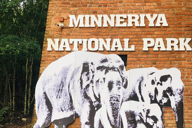 Minneriya Half Day Safari - Minneriya National Park: the reservoir scene you came for