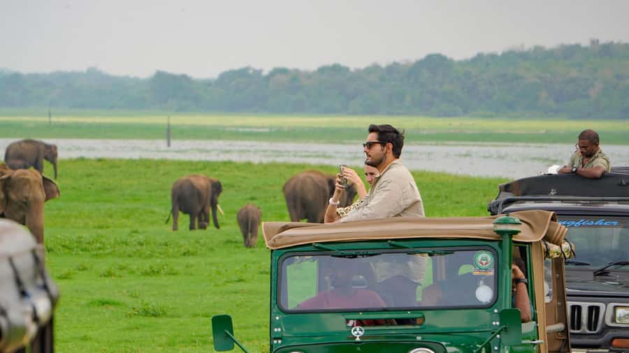 Minneriya: Minneriya National Park Private Evening Safari - Minneriya Tank Turns Into an Elephant Magnet